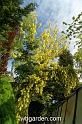 wbgarden spring 35